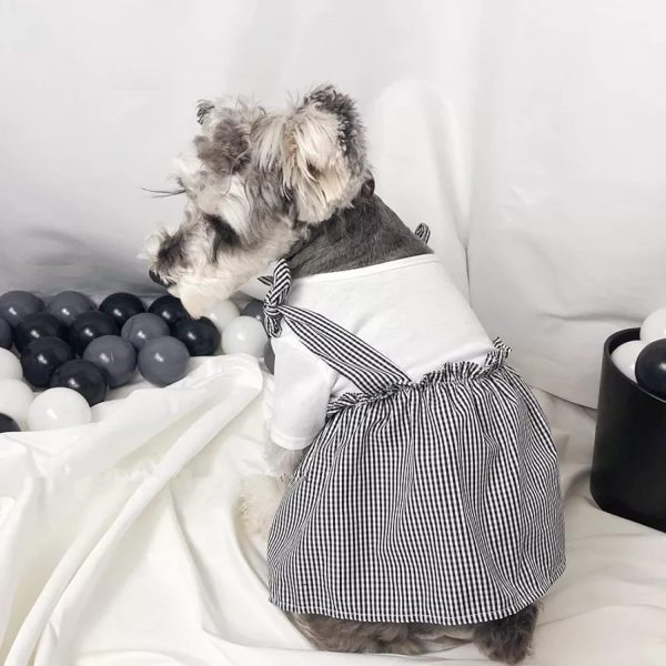 Dog Clothes Bulldog Clothes Summer Pug Clothing Dog Dress Poodle Schnauzer Corgi Costume Pet Clothing Skirt Suitable for Small, Medium and Large Dogs Or Cats Halloween