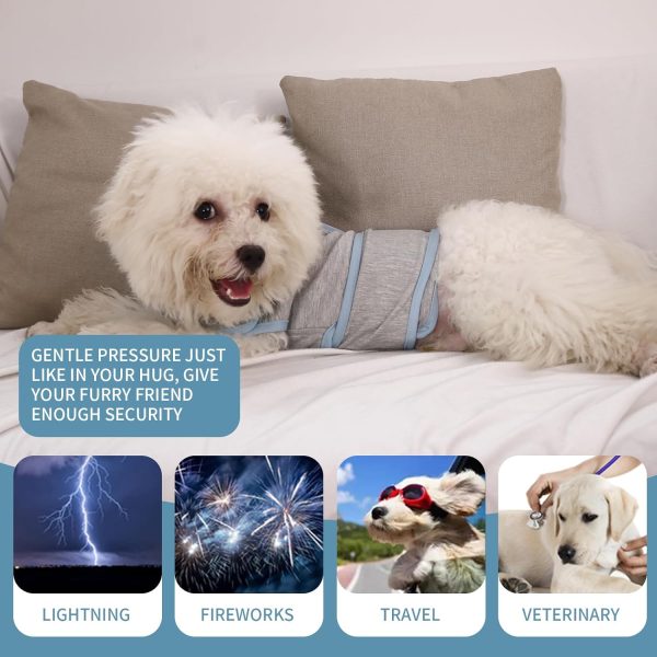 71w2L6ebYWL._AC_SL1500 Dog Anxiety Vest, Comfort Dog Anxiety Relief Coat, Breathable Dog Calming Vest for Thunderstorm, Travel, Fireworks, Vet Visits(Dog Calming Vest Light Grey Blue S)