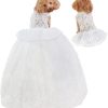 Dogs Wedding Dresses Flower Tutu Skirt with Detachable Train for Small Medium Dog Pet Outfit Formal Apparel Princess Clothes for Birthday Party Costume (Pink Set, XL)