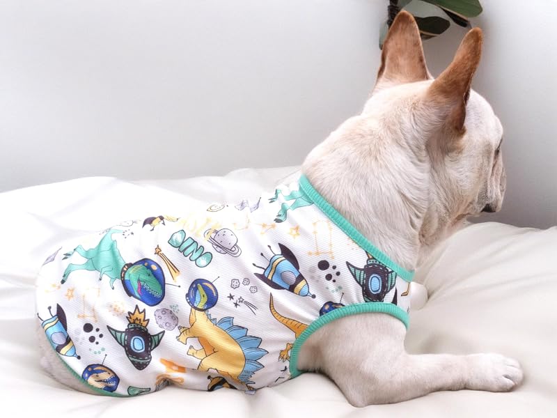 dog summer clothes