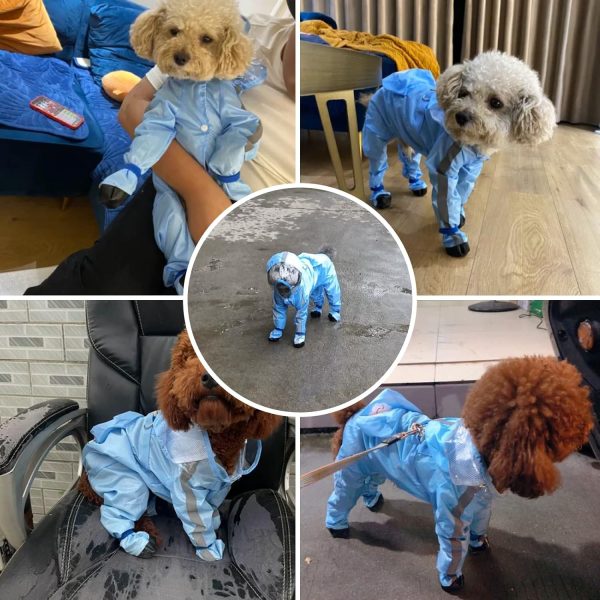 Full Coverage Small Dog Raincoat, Waterproof with Four-Leg Protection, Ideal for Teddy Bears, Includes Waterproof Mini Backpack (Yellow New, XX-Large(Recommended Weight:15-22 Pounds))