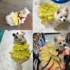 FIONA'S CLOSET Dog and Cat Clothes Sleeveless Dress Breathable Lace Cotton(Yellow, 1X-Large)