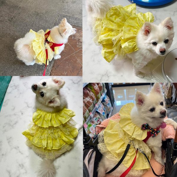 FIONA'S CLOSET Dog and Cat Clothes Sleeveless Dress Breathable Lace Cotton(Yellow, 1X-Large)