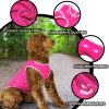 2 Pack Quick Dry Dog Shirt, Lightweight Mesh Breathable Dog Clothes for Small Dogs Girl,Sun-Protection Sleeveless Shirts for Dog&Cat Puppy Vest Pet Apparel