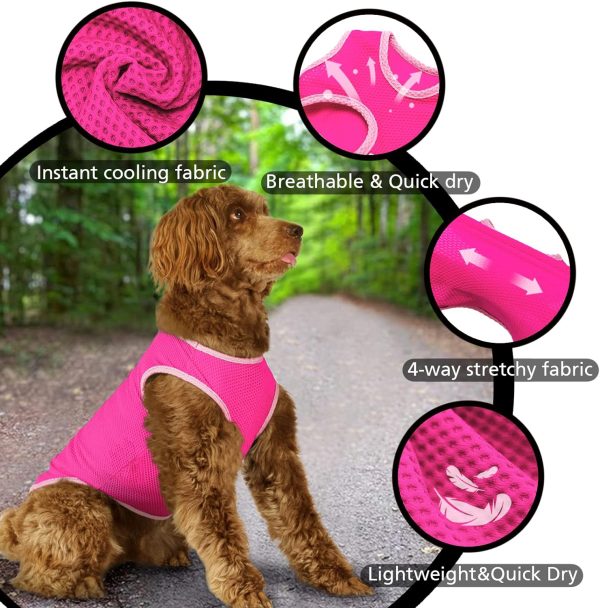 2 Pack Quick Dry Dog Shirt, Lightweight Mesh Breathable Dog Clothes for Small Dogs Girl,Sun-Protection Sleeveless Shirts for Dog&Cat Puppy Vest Pet Apparel