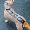 81ytjOzWBaL._AC_SL1500 Dog Raincoat, Pet Rain Coat, 4 Legs Dog Rain Jacket with Reflective Stripe, Water Proof Dog Poncho Snow Clothes for Small Medium Large Dogs