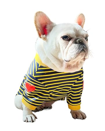 dog shirts - stripes