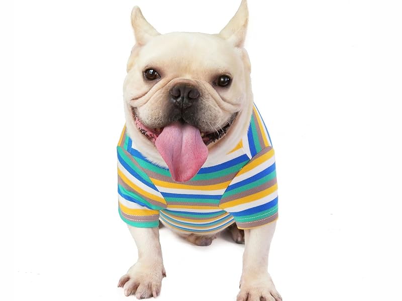 dog clothes for small dogs girl boy