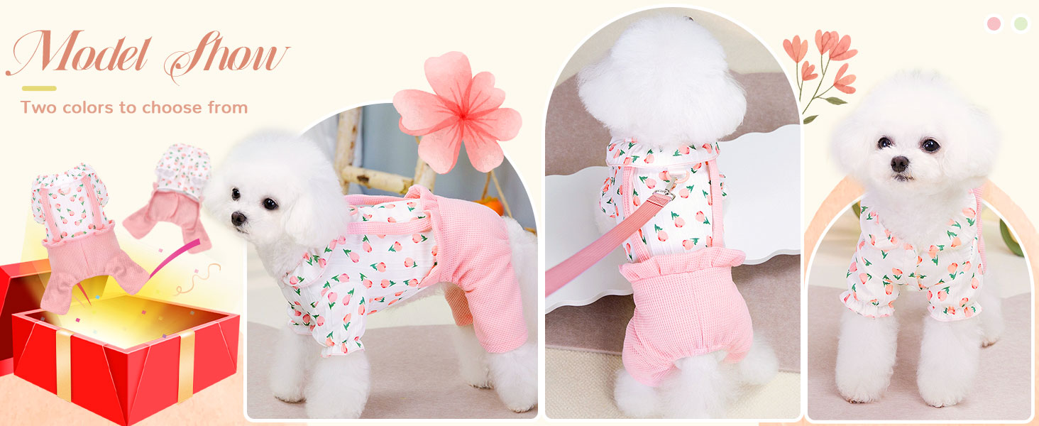 dog overalls