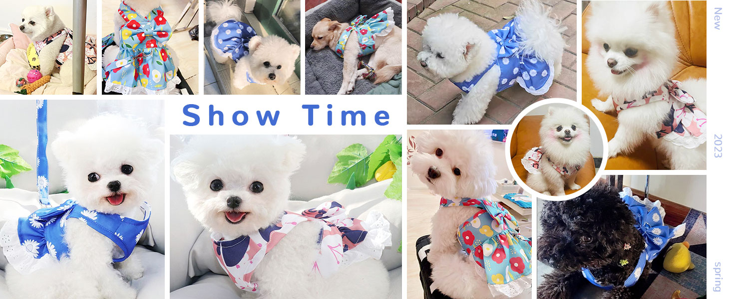 dog dress harnesses for small dogs