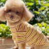 Dog Shirts Cotton Striped T-Shirt, Summer Pet Clothes for Small Dogs, 2-Pack Soft Puppy Apparel Cat Tee, Breathable Stretchy, Blue Yellow XL