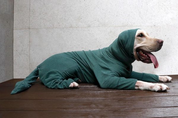 Extra Large Dog Pajamas Pjs Bodysuits Full Body Coverage Onesie Clothes Anxiety Calming Surgery Recovery Suit for Great Dane, Dark Green, 4X-Large