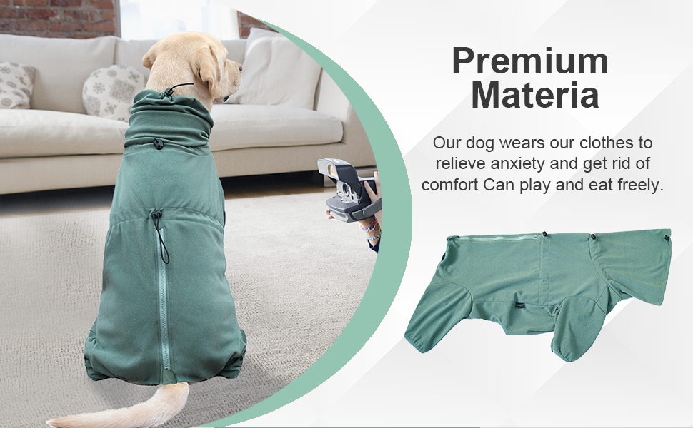 Dog Pajamas Green 02