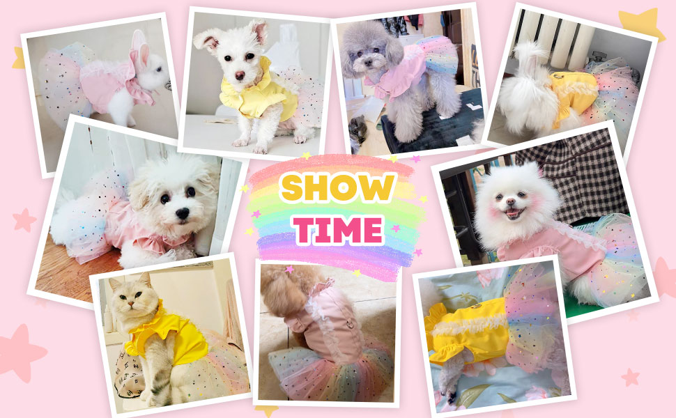 puppy dress