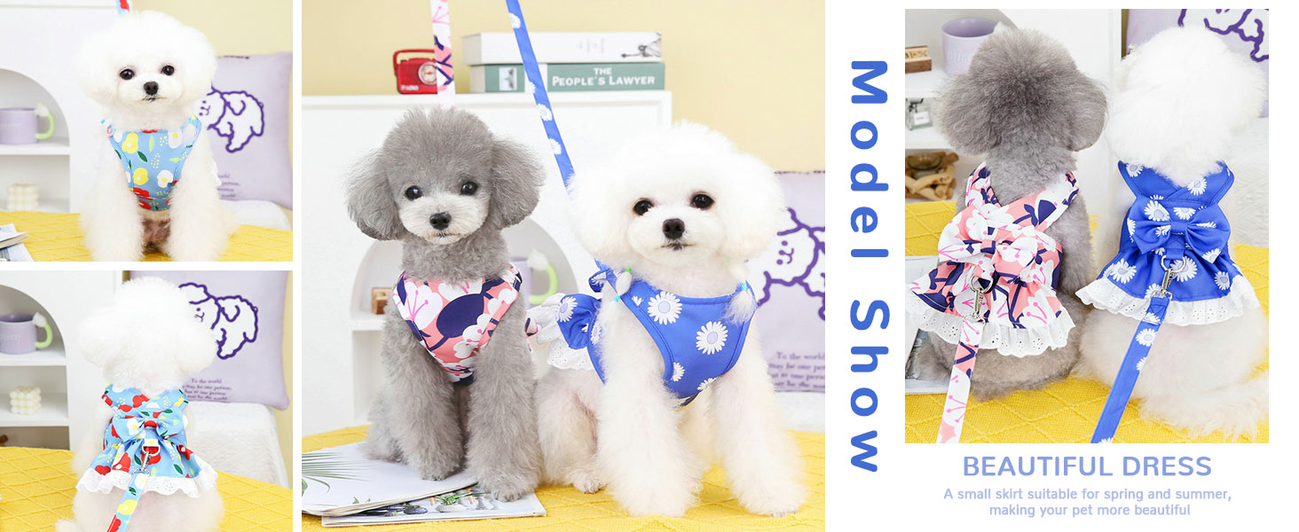 dress harness for small dogs