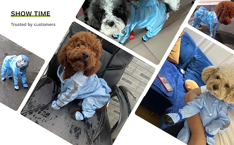 Gleepurr Full Coverage Small Dog Raincoat