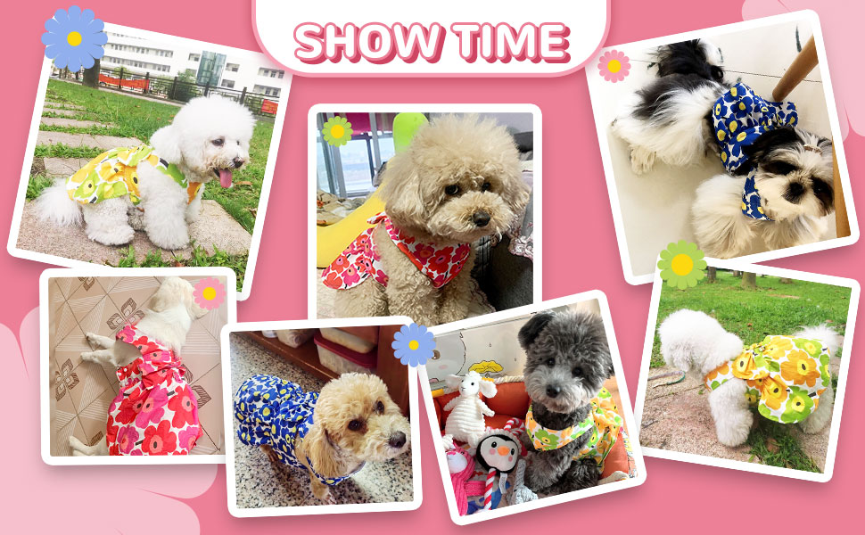 BUYER SHOW