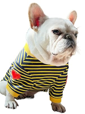 dog shirt for small dogs