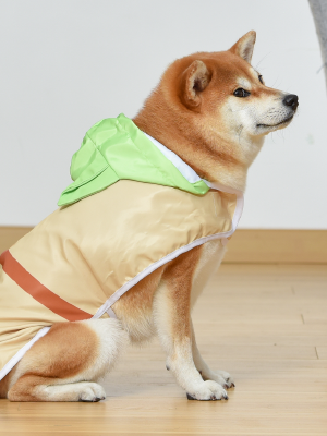 Star Wars Pet Raincoats