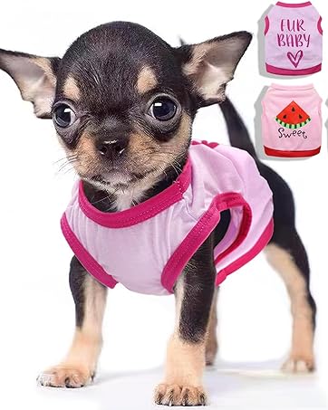 small dog girl
