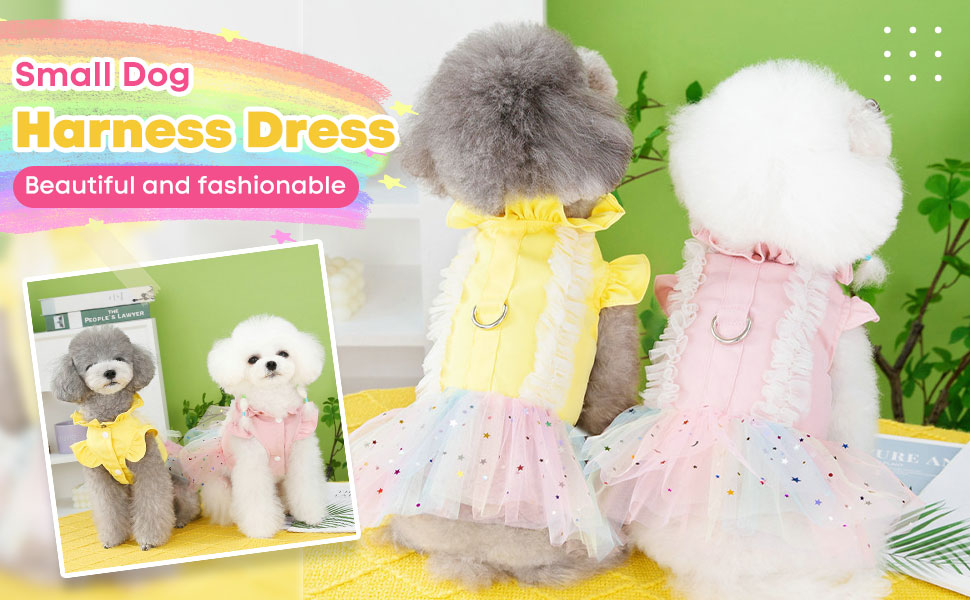 small dog dress