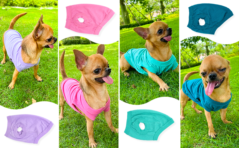 dog shirt