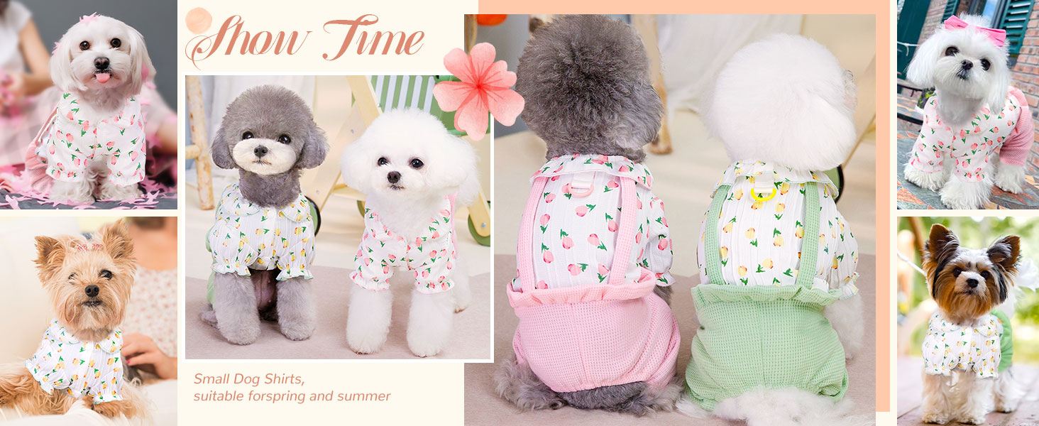 dog overalls
