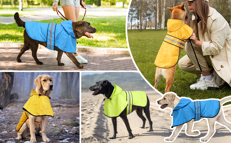 dog rain jacket