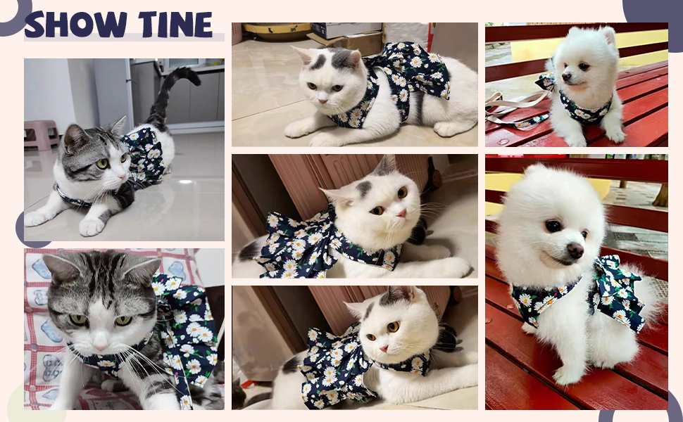 Cute Puppy Clothes-Show Time